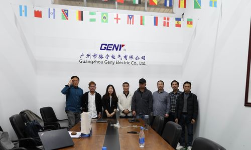 Ultime notizie aziendali su Collaborazione transfrontaliera: Ingegneri EDMI addestrati presso la fabbrica GENY per rafforzare la collaborazione